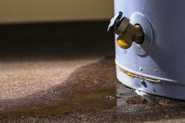 Best Mold removal after water damage  in Burke, VA