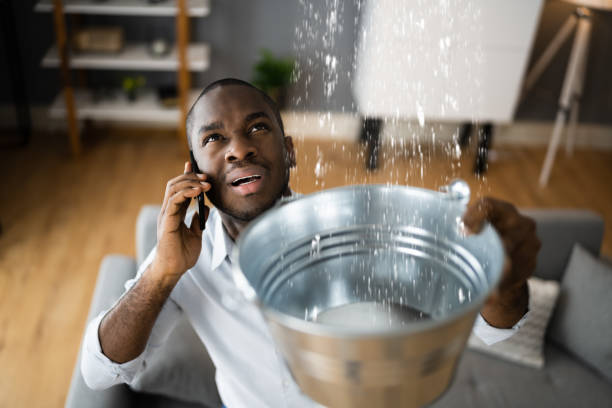 Best Water damage contractors near me  in Burke, VA