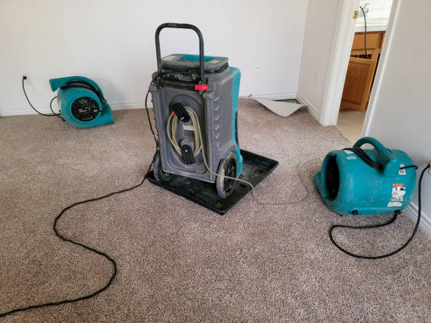 Best Flooded house restoration  in Burke, VA