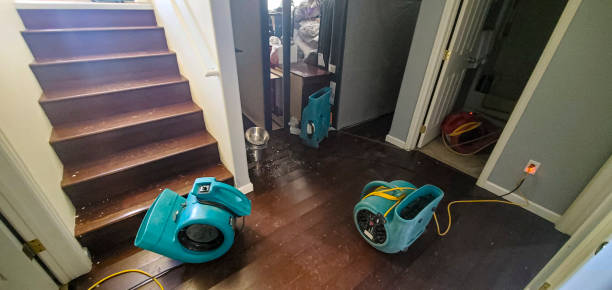 Best Water damage restoration near me  in Burke, VA