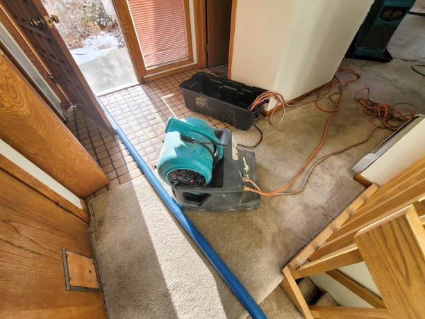Best Flood damage cleanup  in Burke, VA