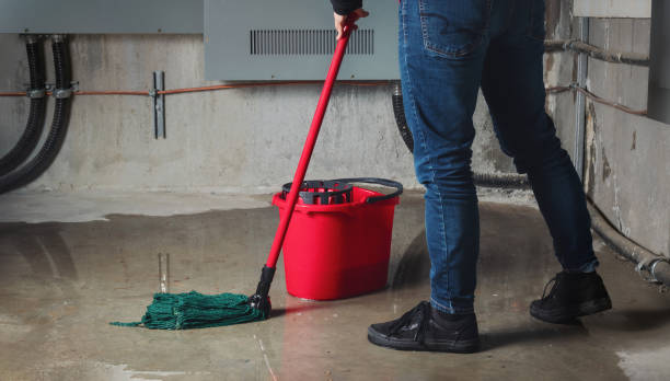 Best Water damage restoration near me  in Burke, VA