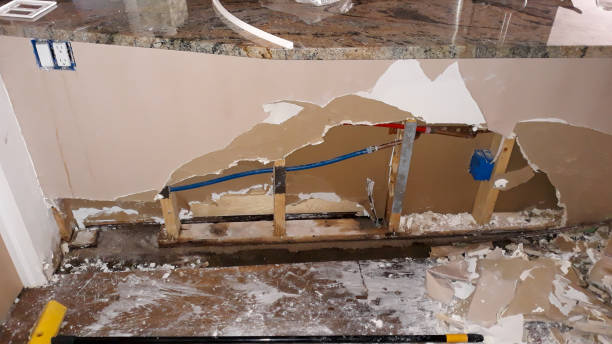 Best Carpet water damage restoration  in Burke, VA