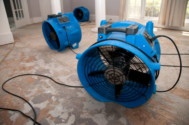 Water damage restoration mold remediation in Burke, VA
