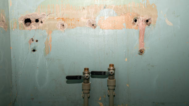 Best Emergency water extraction  in Burke, VA