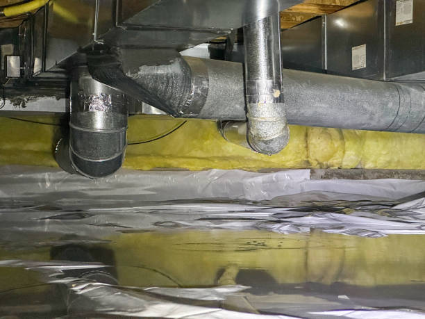 Best Sewage cleanup and water damage restoration  in Burke, VA