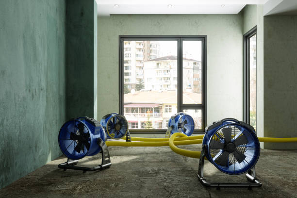 Best Water damage cleanup near me  in Burke, VA